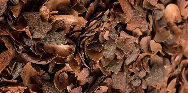 El biocarbón, fabricado con la cáscara del cacao